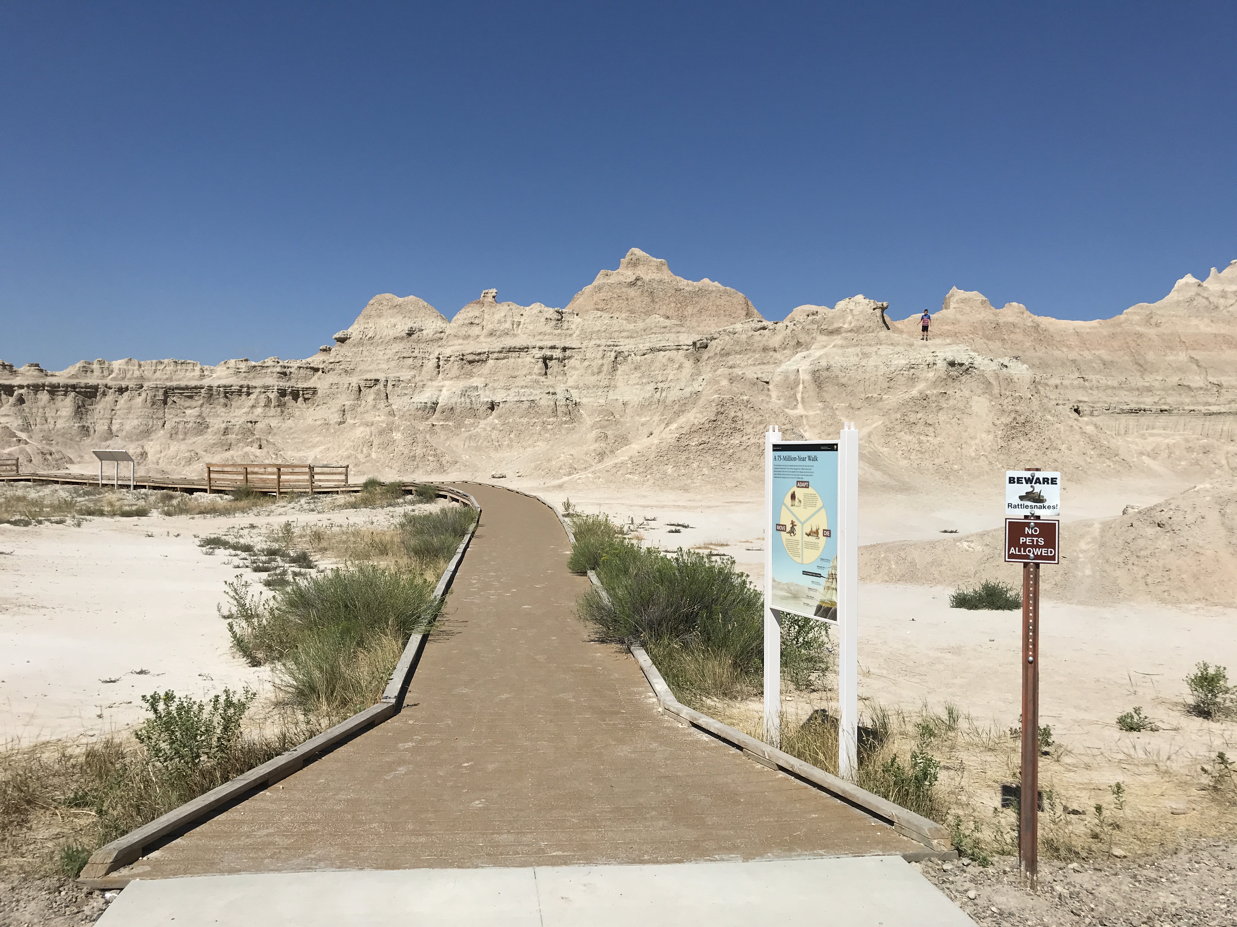 A boardwalk extends to badlands formations under bright blue sky.