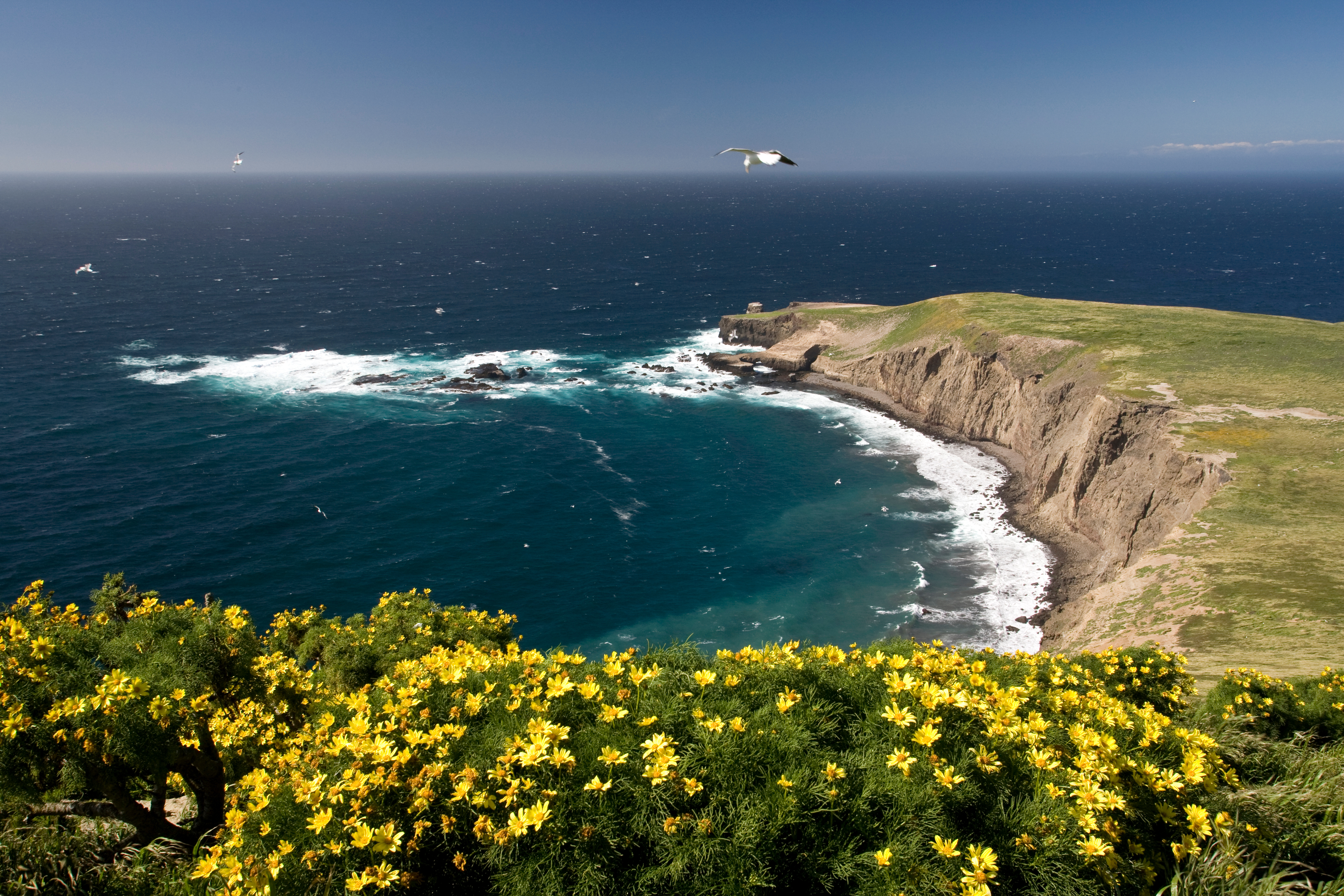 view of coastline from mountain peak