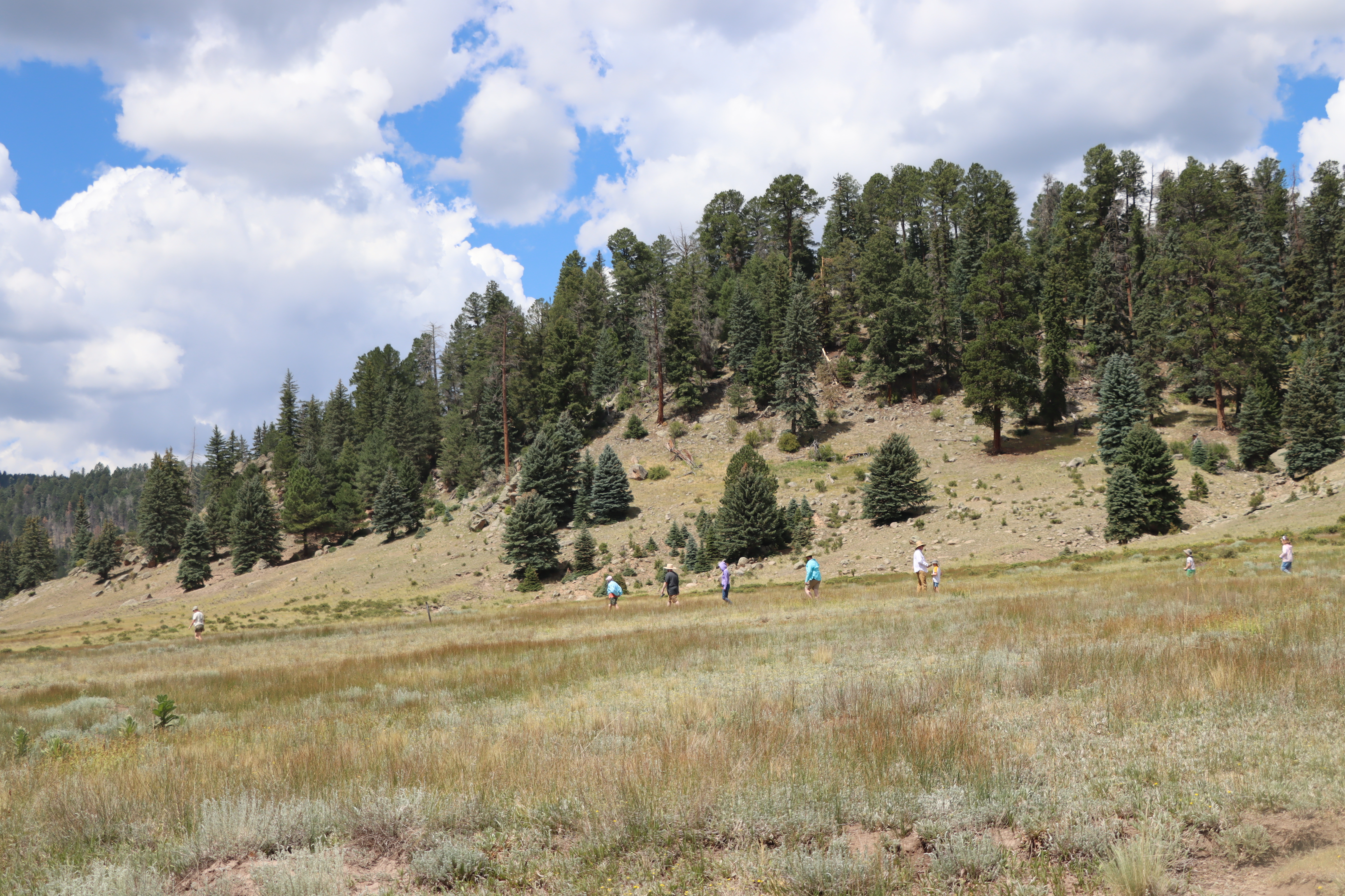 A group of people hike around the base of a round, volcanic dome covered in mixed conifer forest.