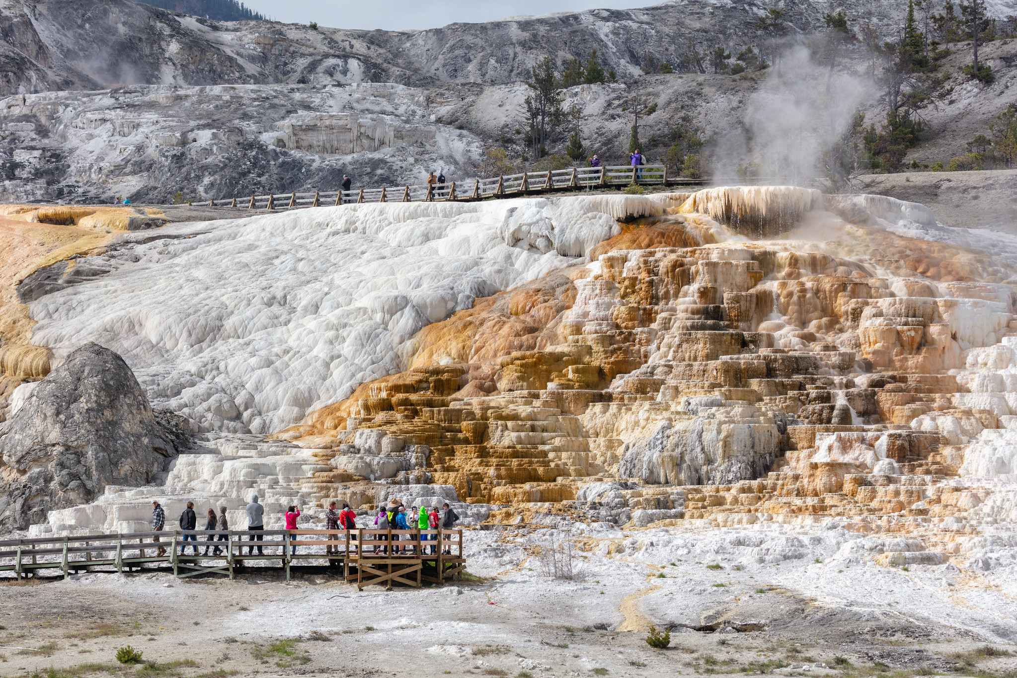 Visitors view orange and white travertine formation from boardwalk