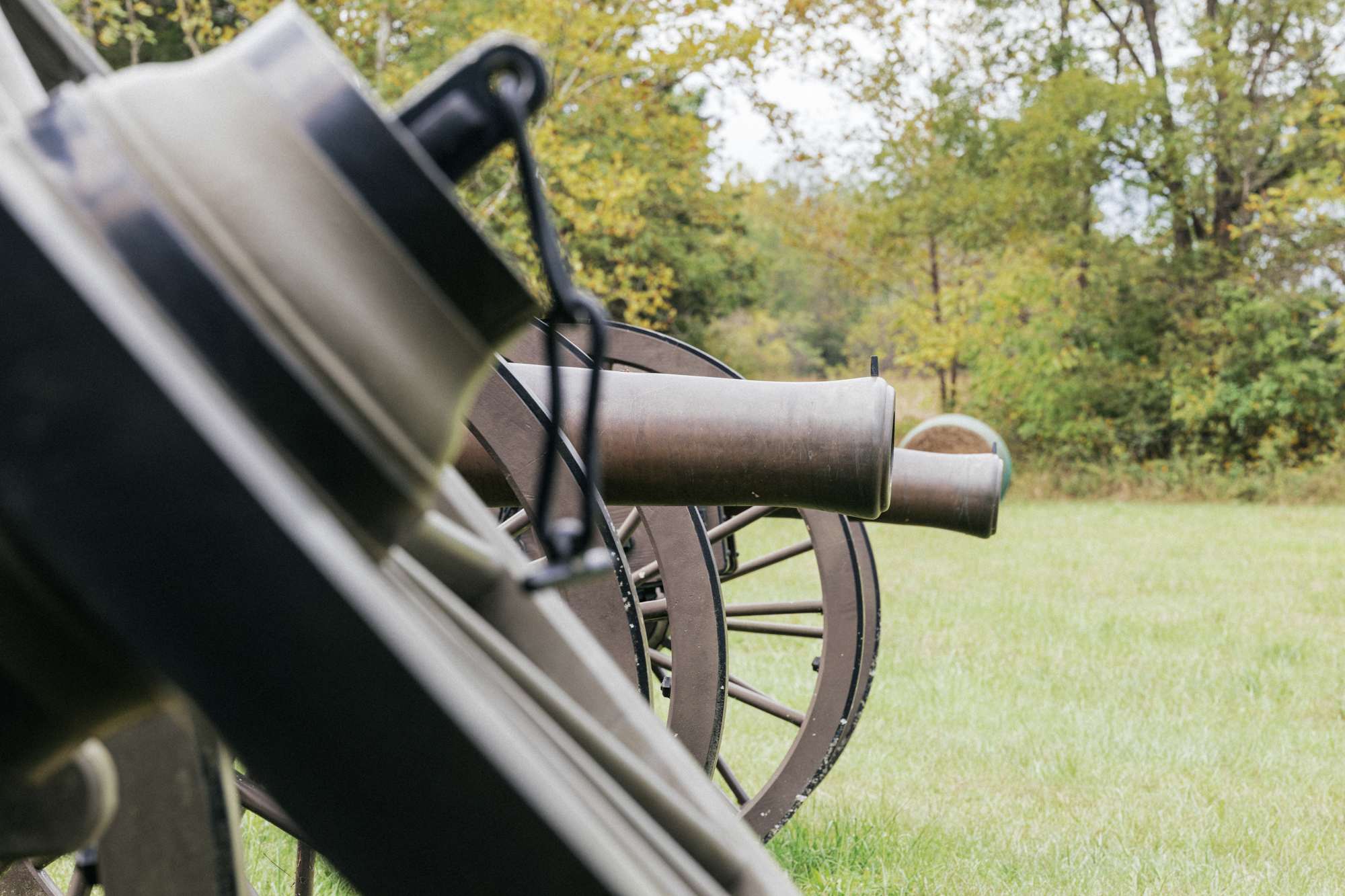 The barrels of two cannons in a grassy field