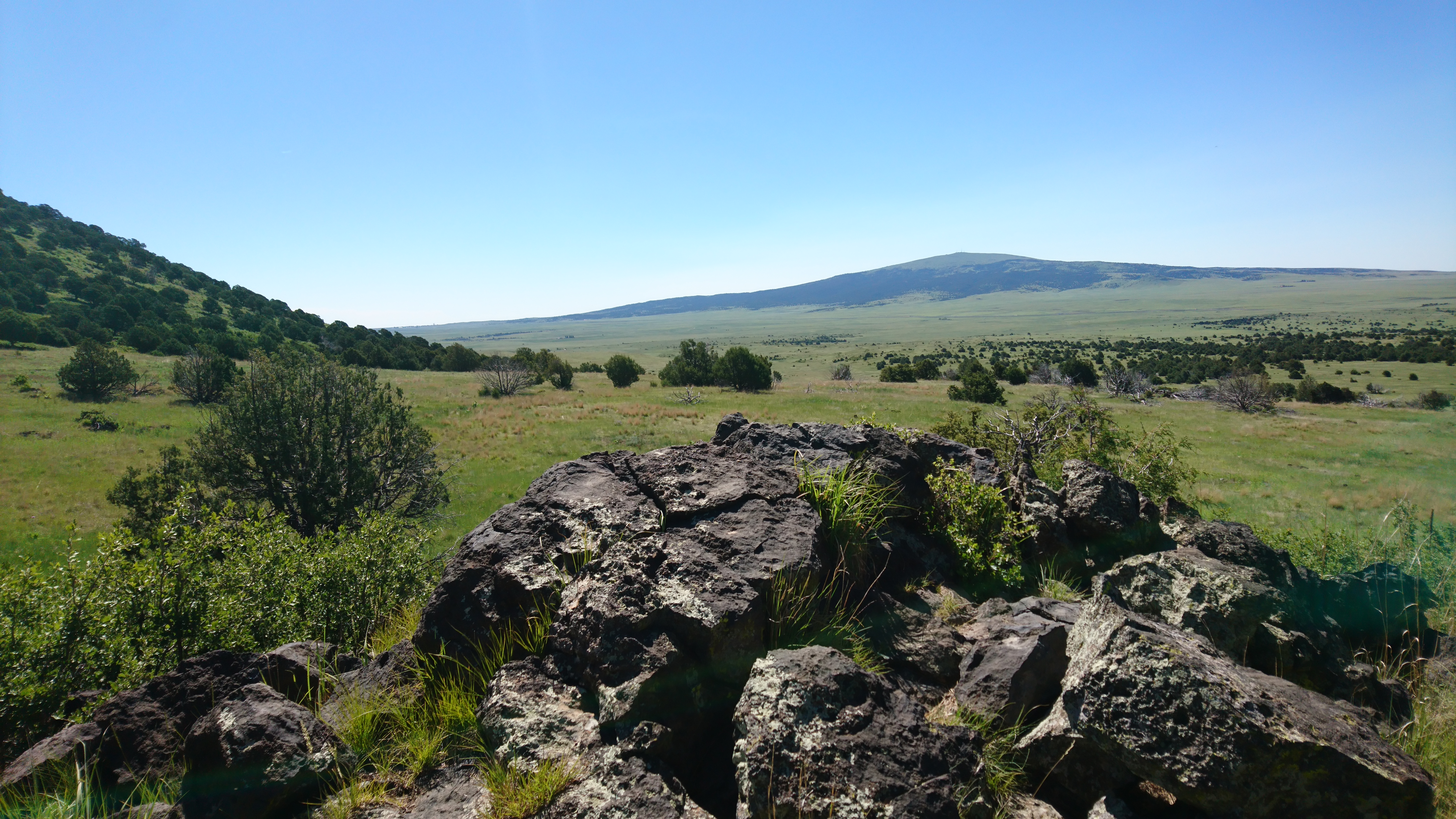 Prairie dotted with trees and a volcano in the distance