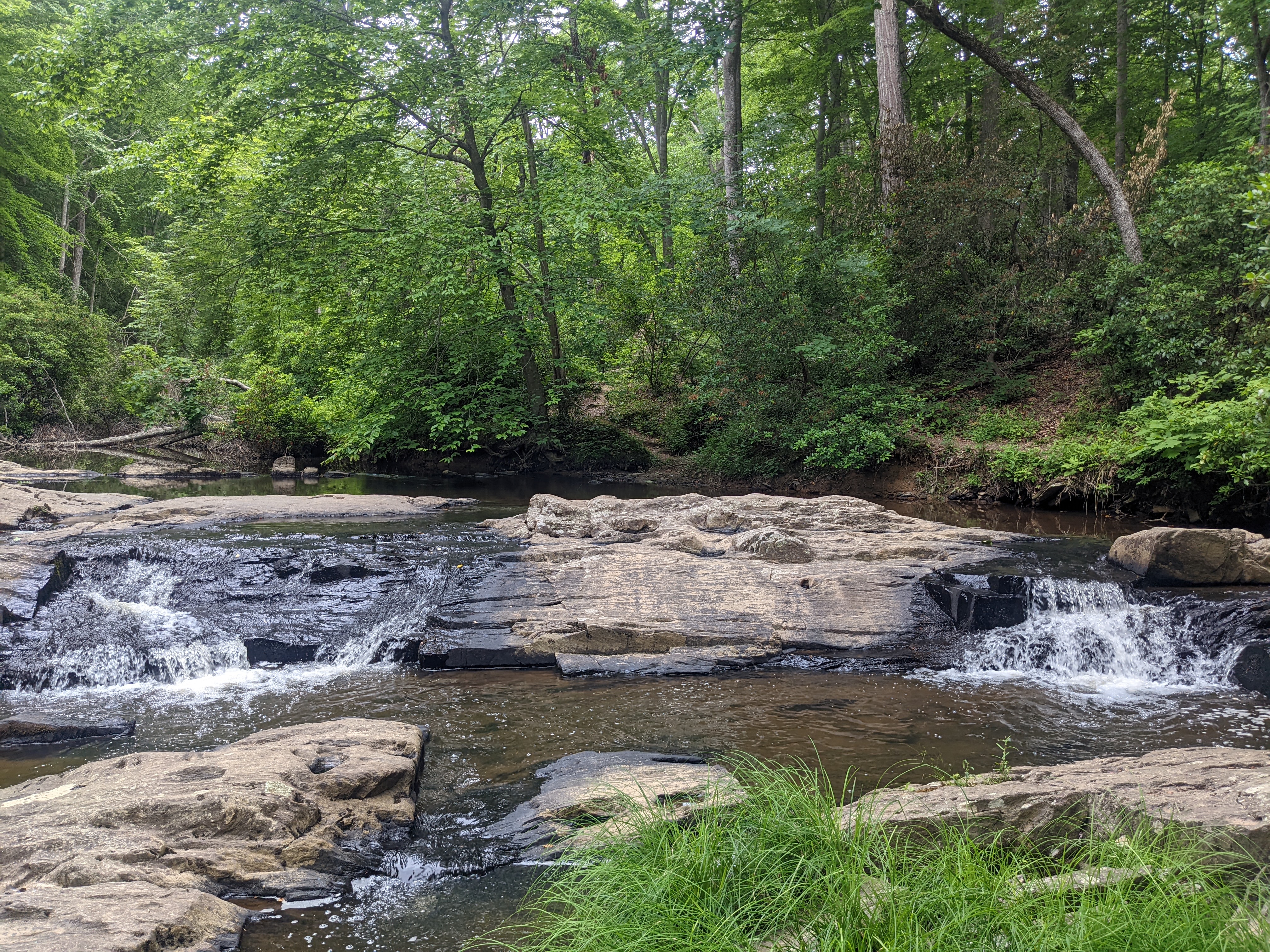 Creek flows over and around large rocks forming small cascades in a green forest