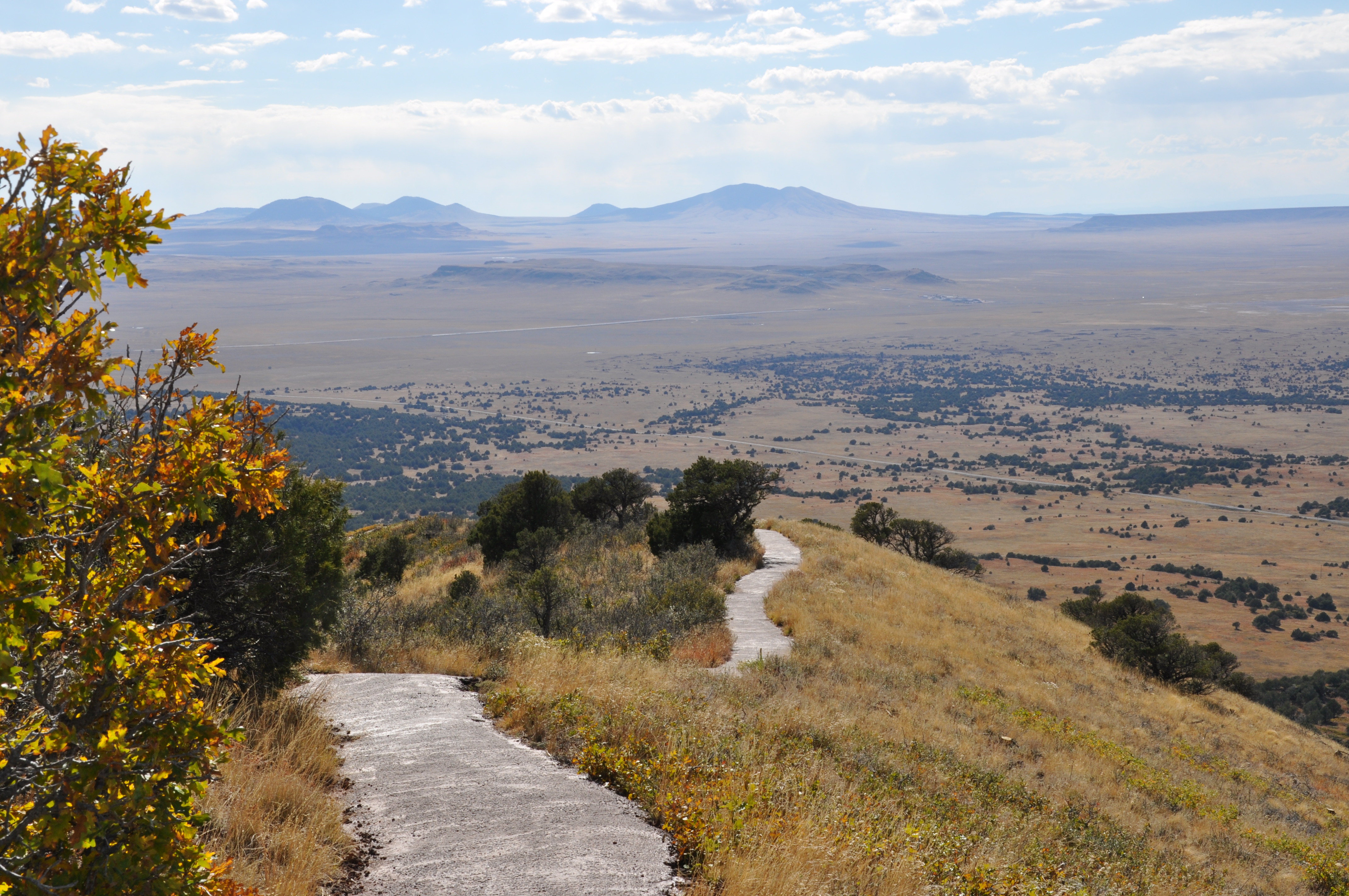 Yellow oak leaves along a trail with views of volcanoes in the distance