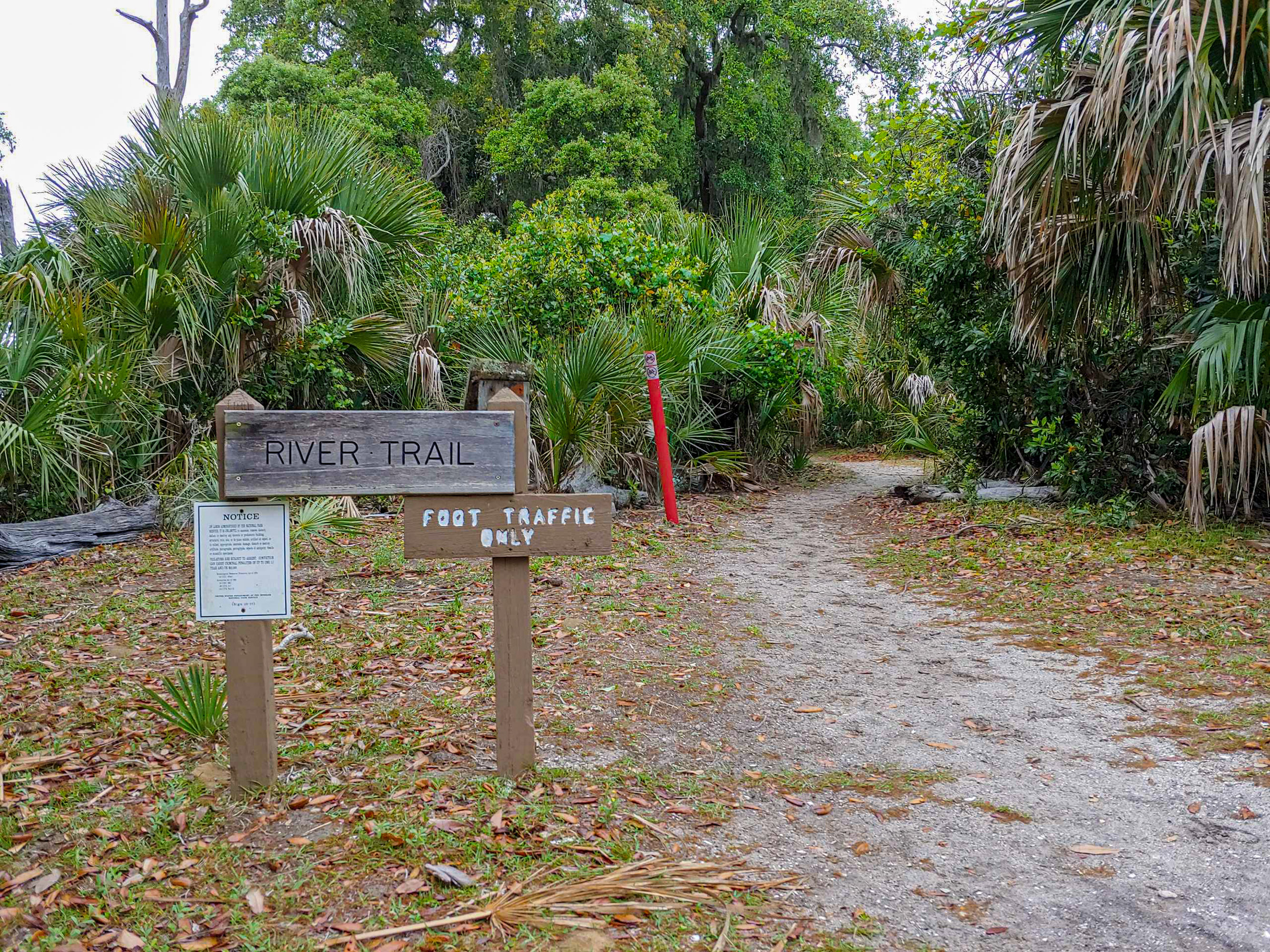 A wooden sign stands in front of a trailhead that leads into the forest