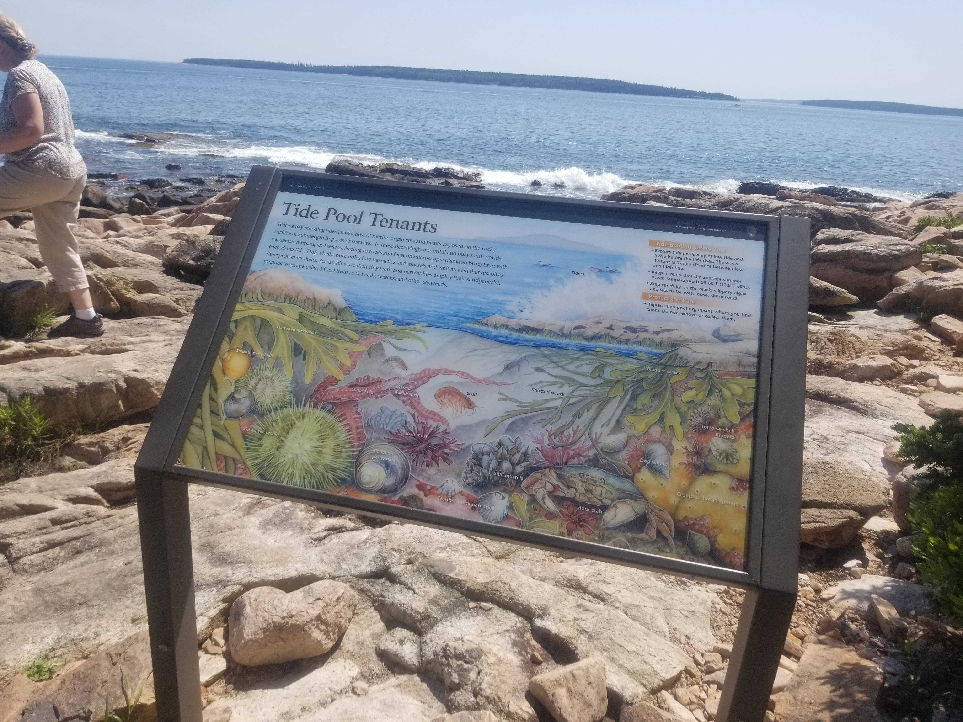 A wayside standing up next to a rocky coast
