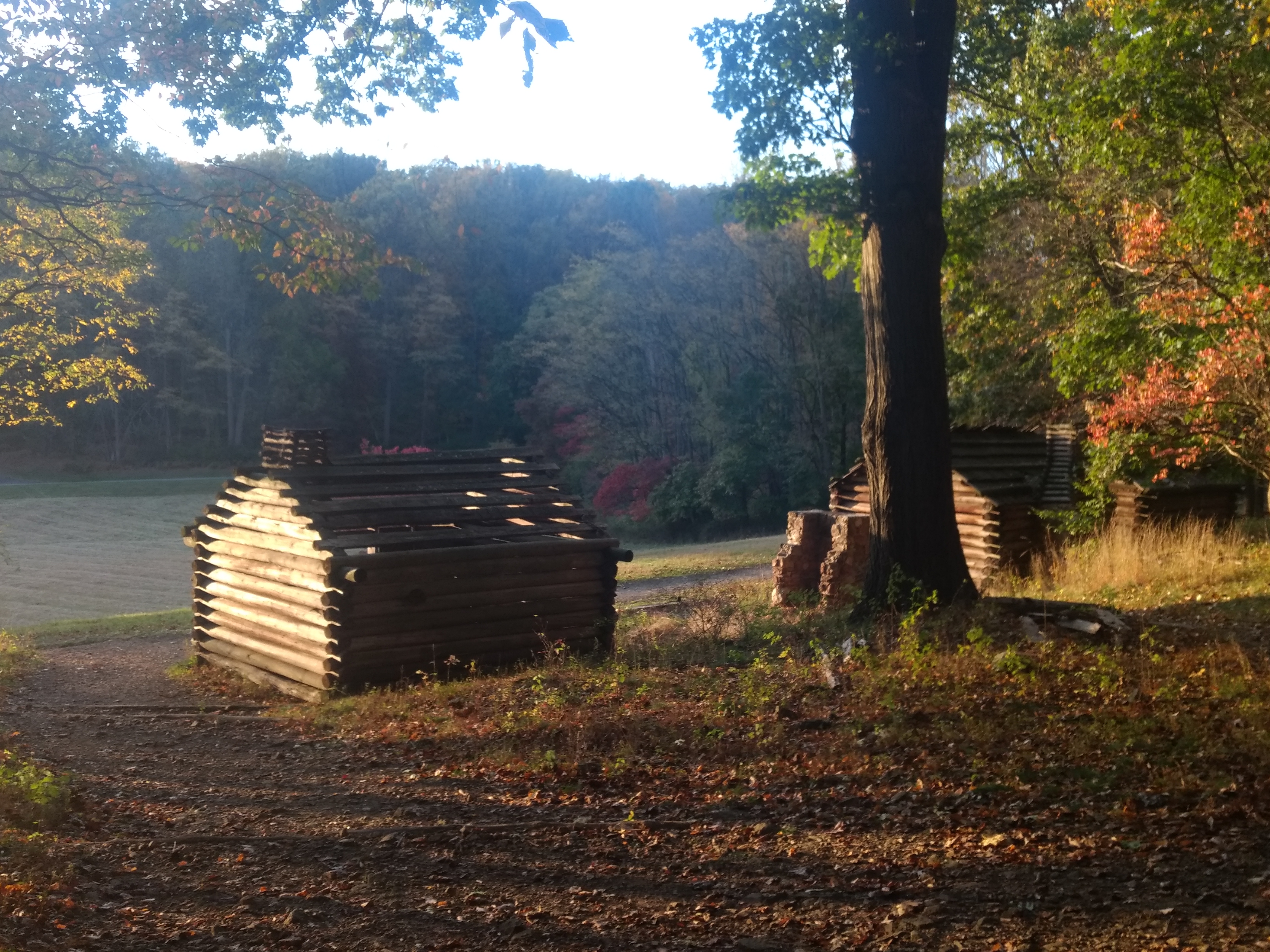 Three log cabins sit on top of a hill overlooking a grassy meadow