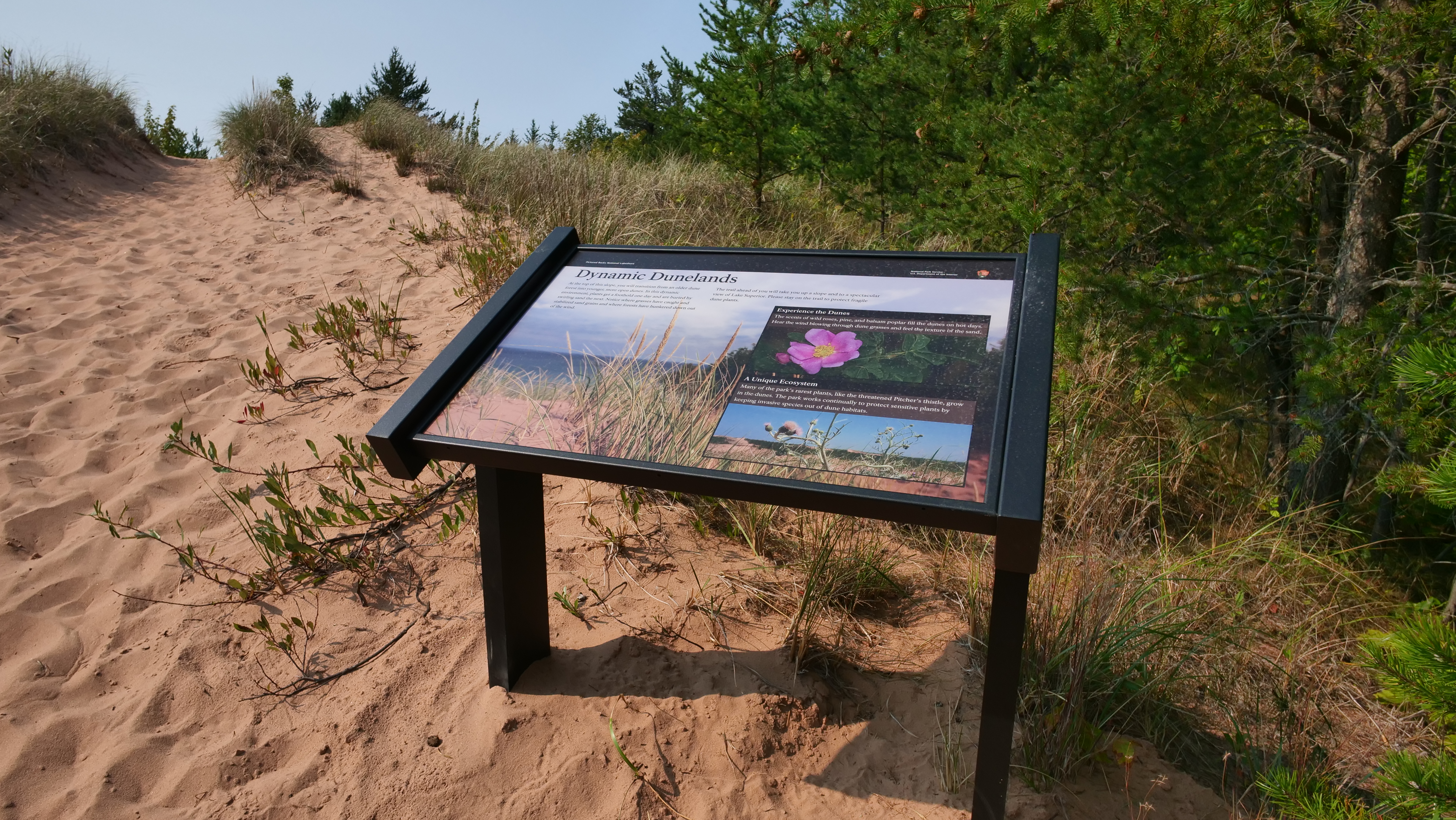 A low-profile wayside on the side of a sand dune