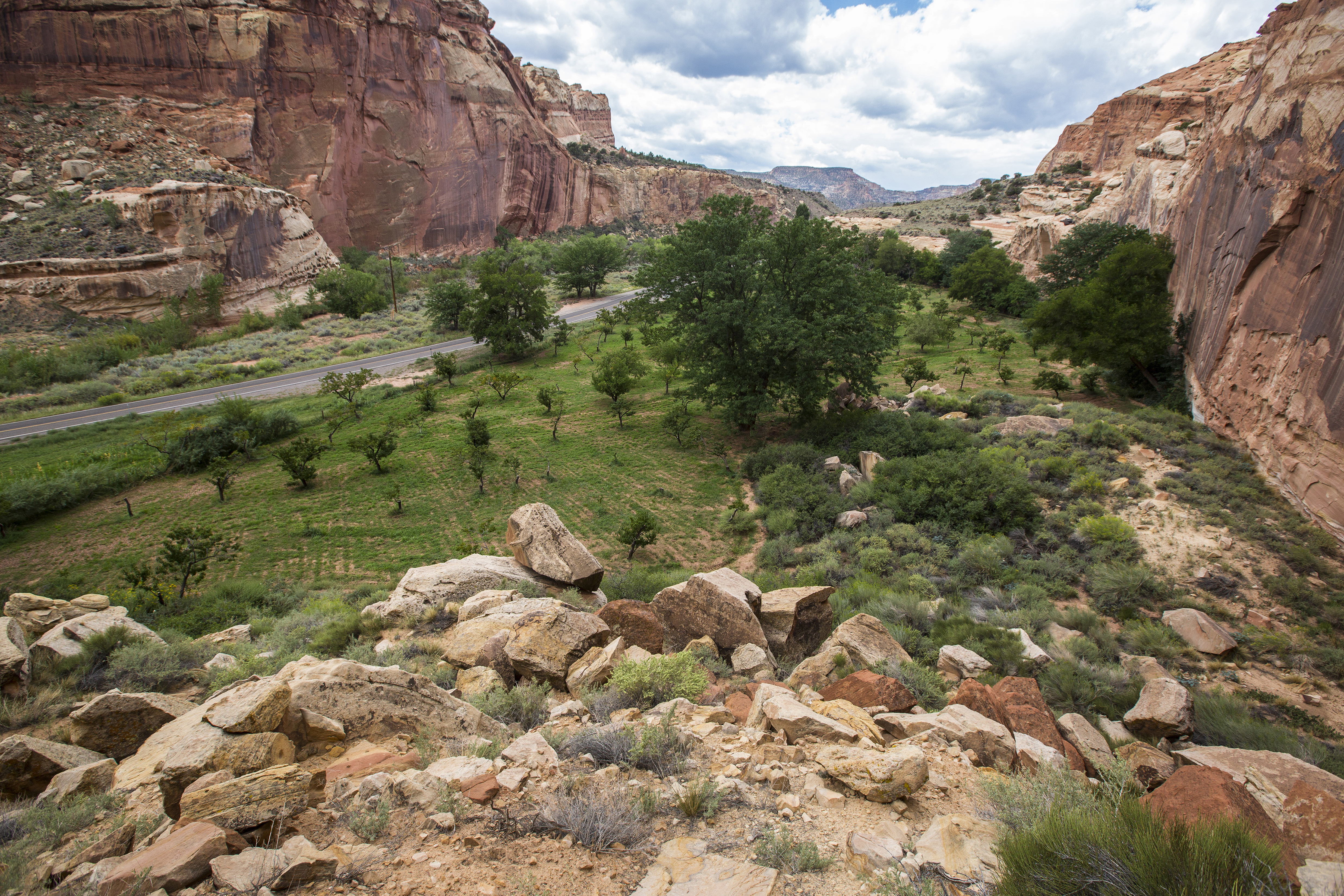 A green field of orchard trees along the highway with red cliffs on both sides.