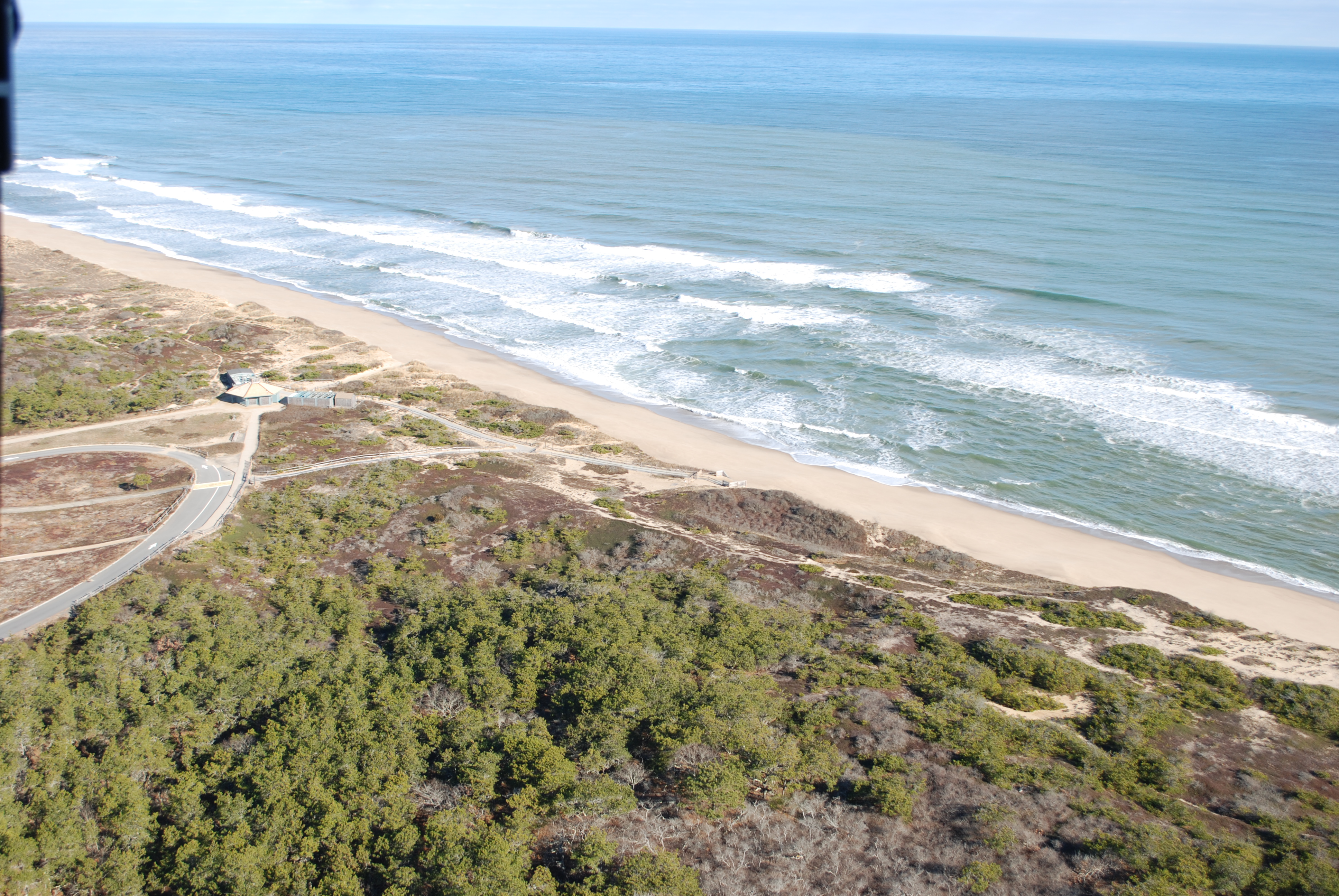 Aerial view of Marconi Beach. Trees, sand, and the ocean dot the landscape.
