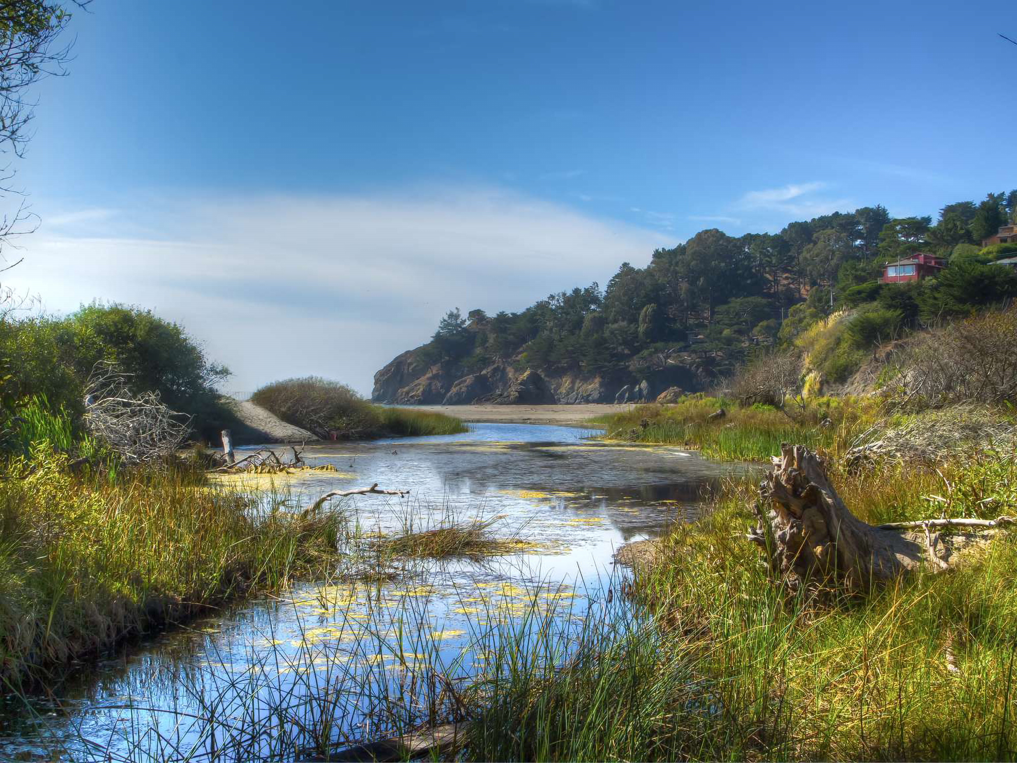 Colored photograph of Redwood creek as it enters Muir Beach