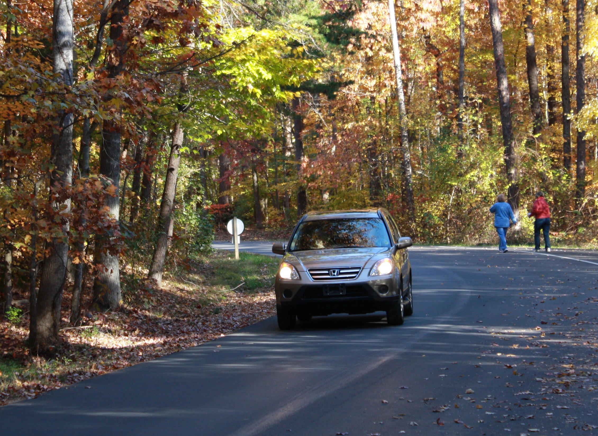 A car drives along the tour road in autumn