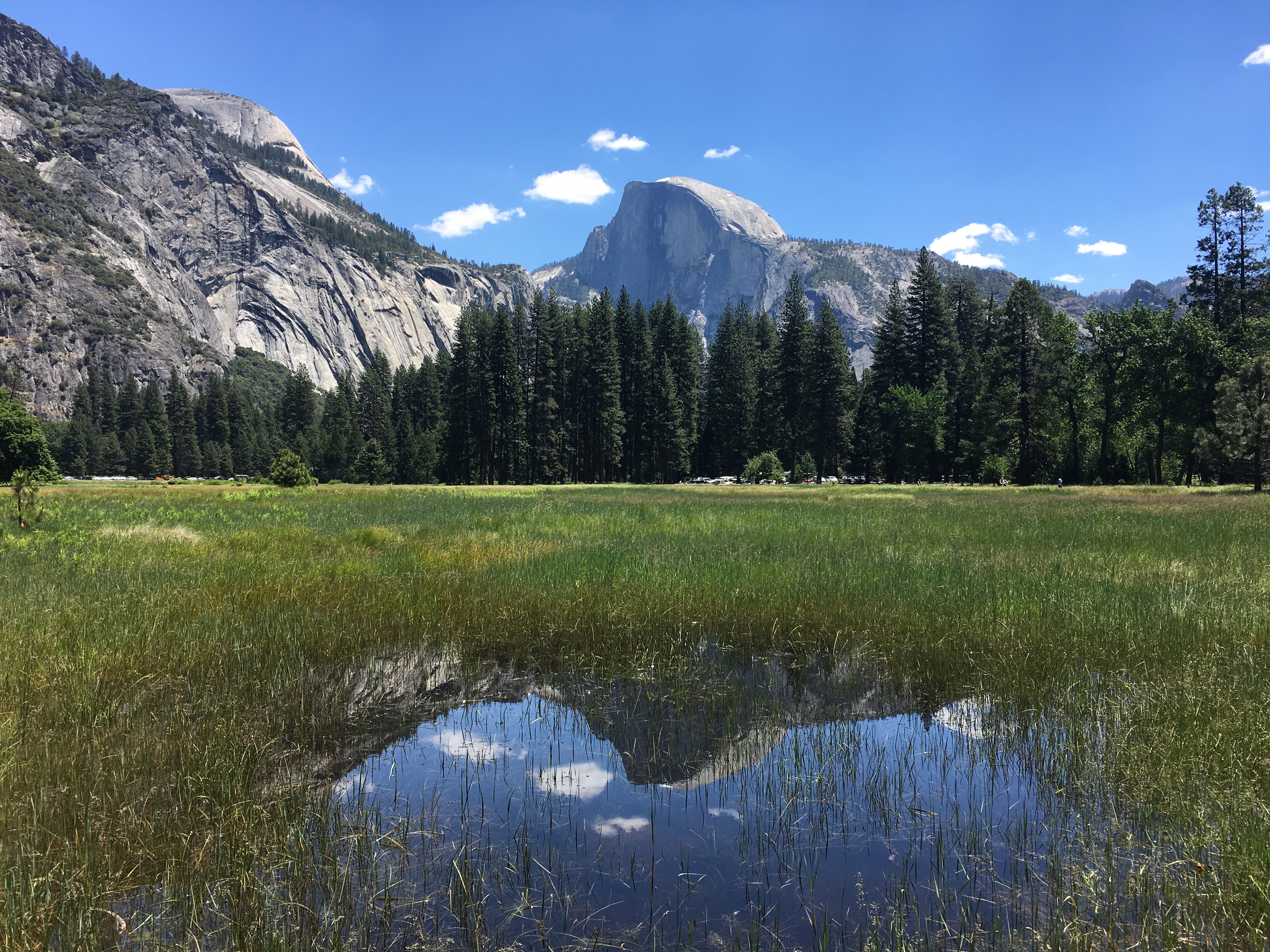 A pool of water in a meadow reflect a unique rock formation known as Half Dome.