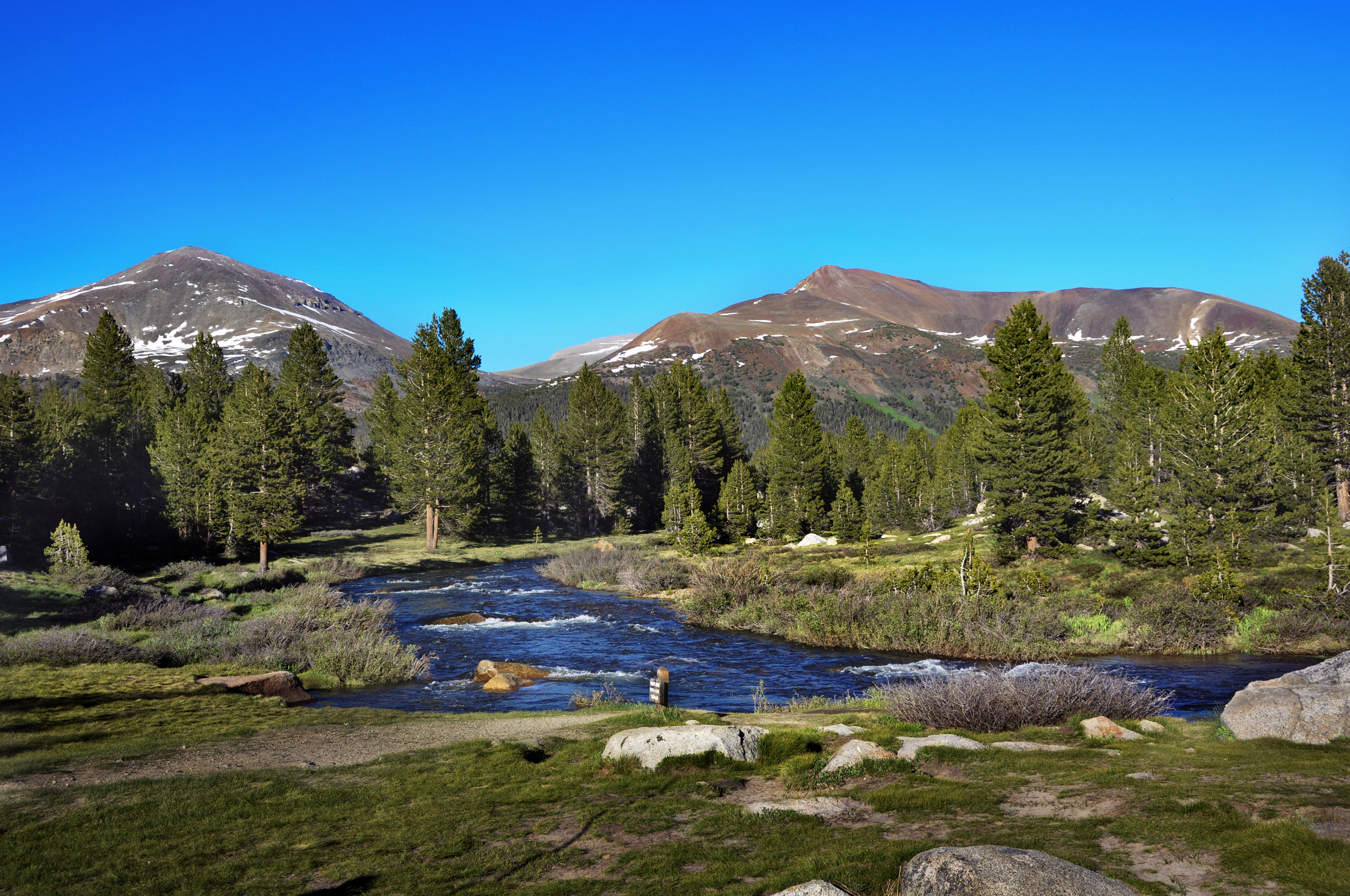 A narrow river winds through a green meadow. Tall trees line the perimeter of the meadow.