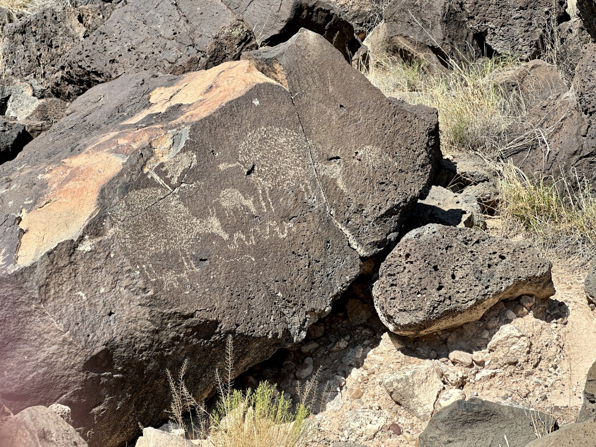 Petroglyphs of sheep on a dark boulder.