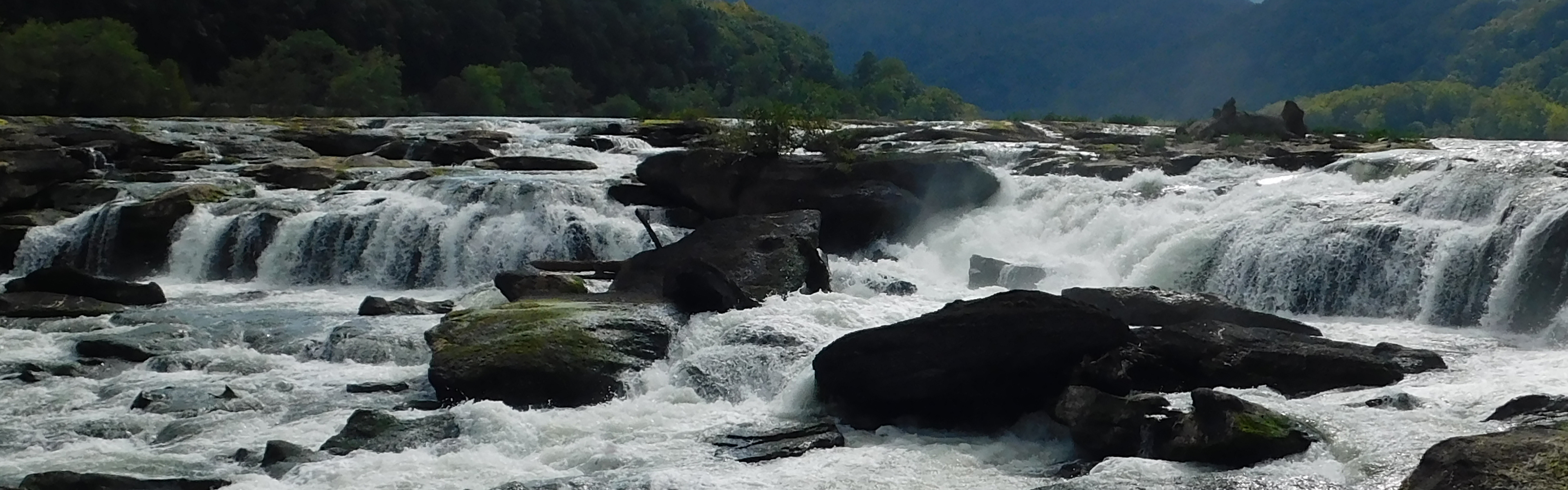 A wide river cascading over large rocks and branches forming a waterfall