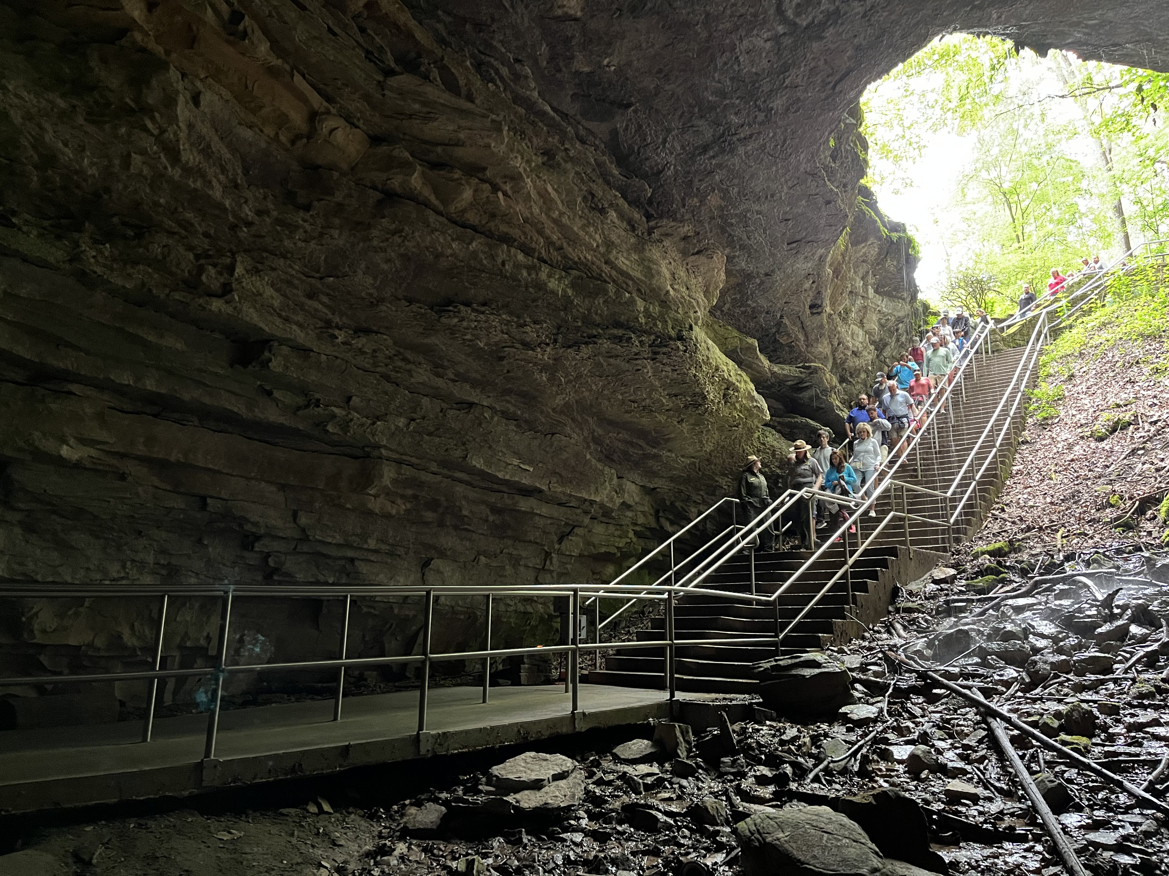A group of people walk down a long stairway from a bright forest into a dark rocky cave.