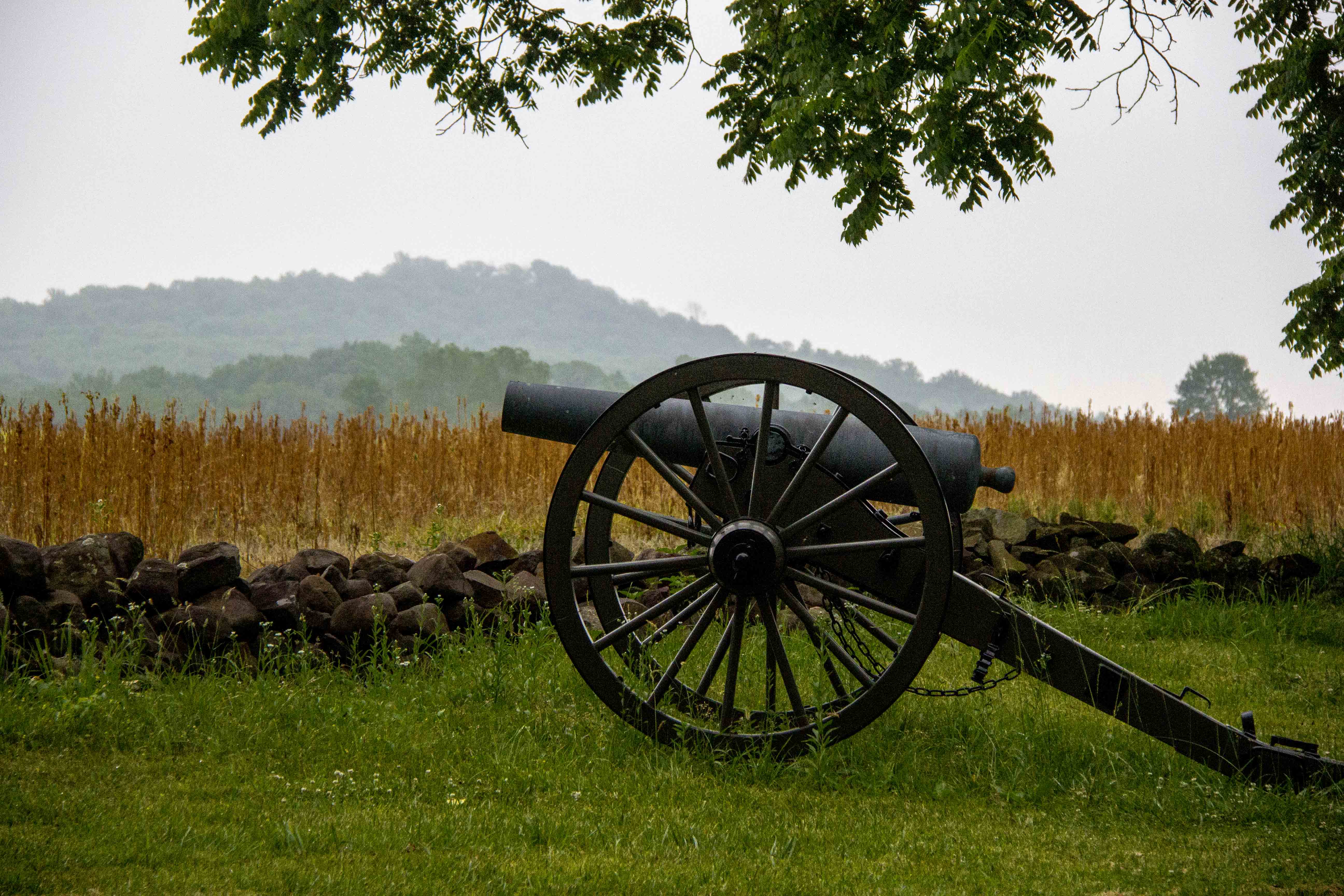 A green cannon with a stone wall and farm field in the background