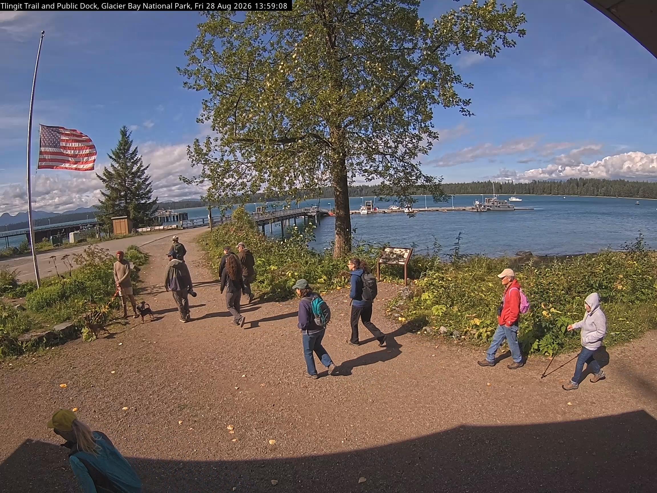 View from the Bartlett Cove Dock and Tlingit Trail camera