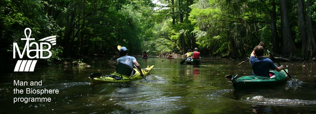 Canoes floating down tree-lined Cedar Creek in Congaree Biosphere Reserve.