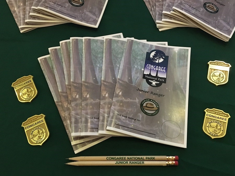 Junior Ranger Books and Badges