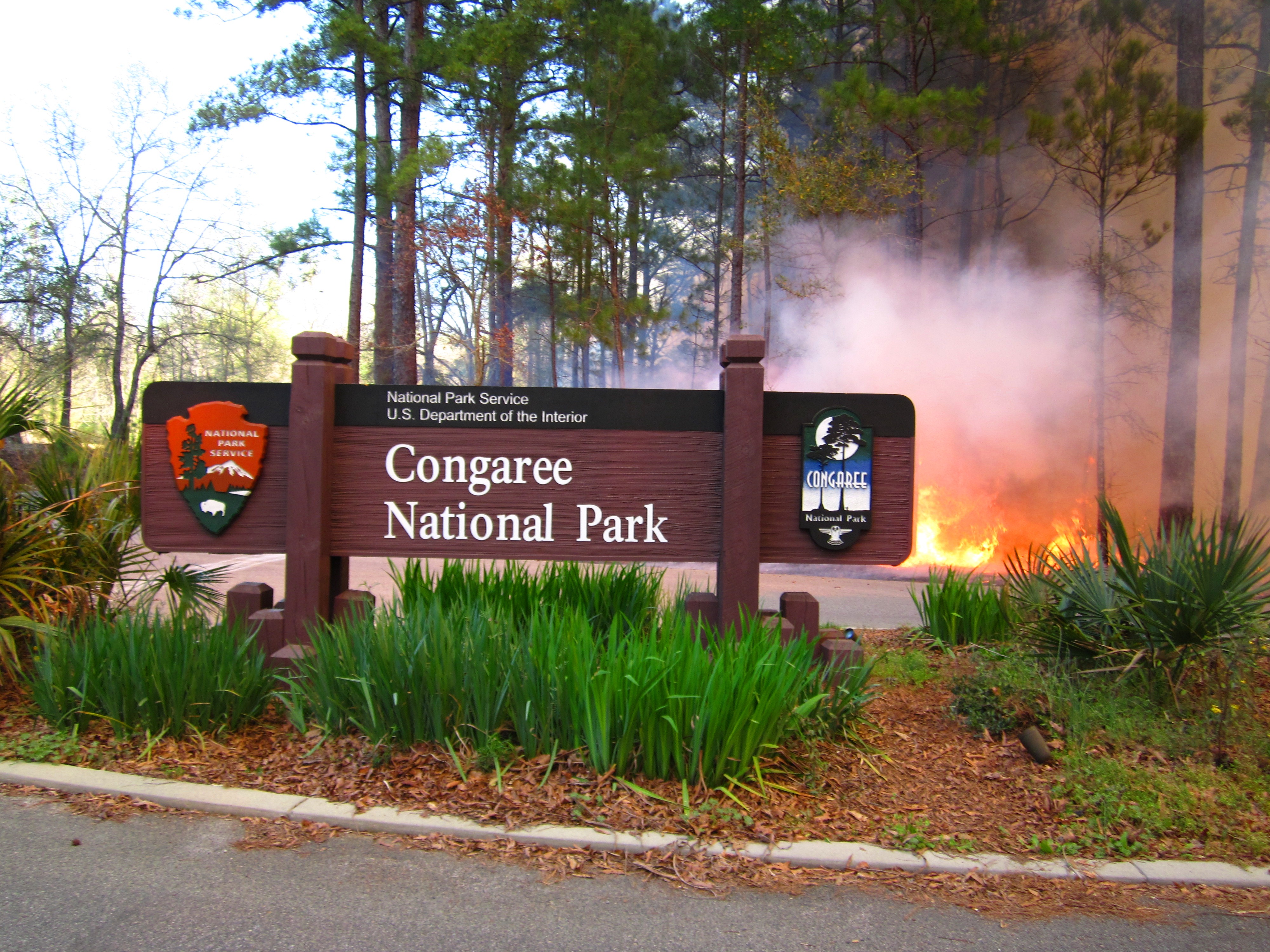 Prescribed burn taking place in front of the park entrance sign.