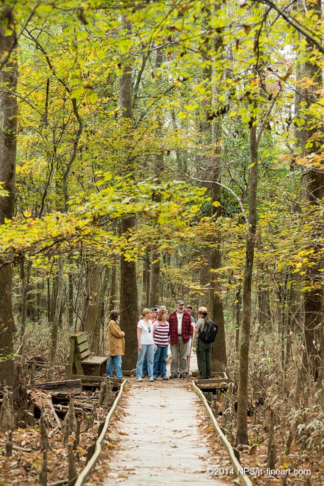 ranger with visitors on low boardwalk ranger with visitors on low boardwalk