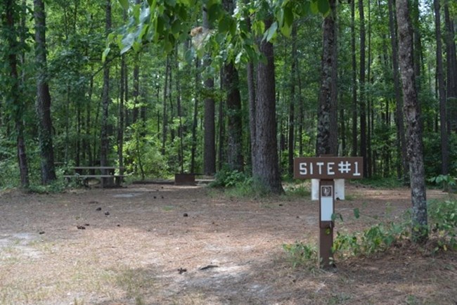 Campsite at Congaree