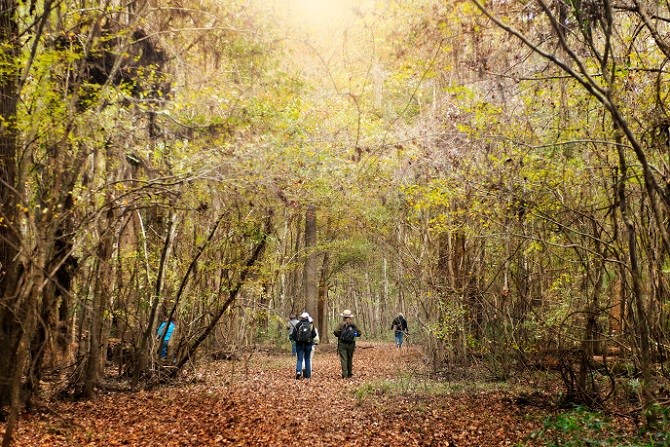 Ranger and visitors walking a park trail