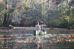 Canoeing on Cedar Creek