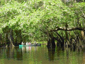 Canoeing on Cedar Creek