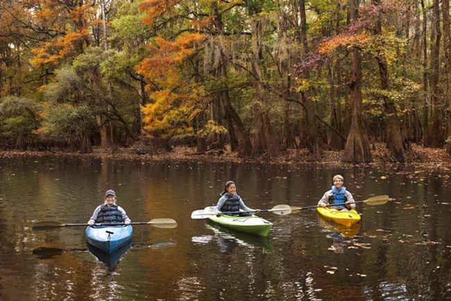 Kayakers on the water