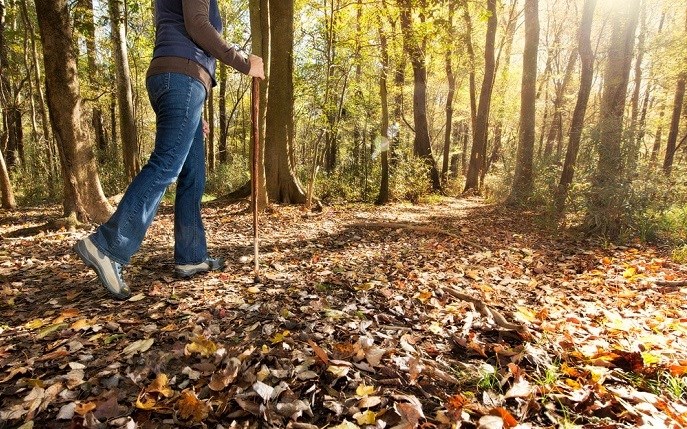 Hiker on park trail