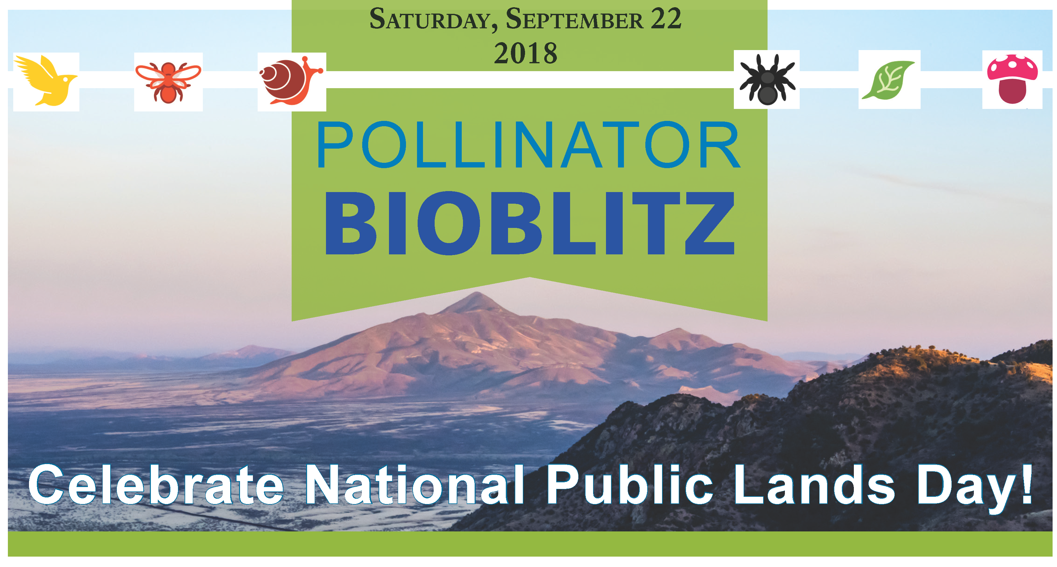Promotional photo for Pollinator BioBlitz Promotional photo for Pollinator BioBlitz