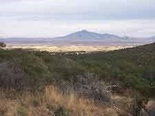 View looking down Montezuma Canyon with San Jose Peaks (Mexico) in background