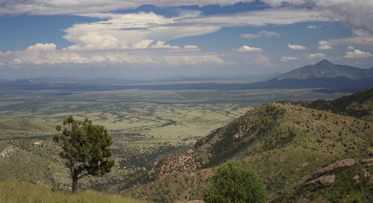 A wide, green river valley with mountains in the distance