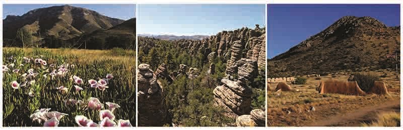 Three photos depicting each of the three parks in the Southeast Arizona Group