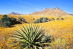 Grasslands of the southeastern portion of the Memorial. Grasslands of the southeastern portion of the Memorial.
