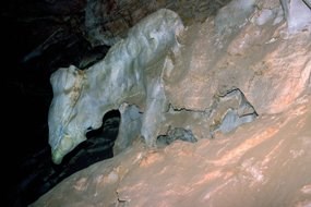 A limestone formation shaped like a dragon inside Coronado Cave.