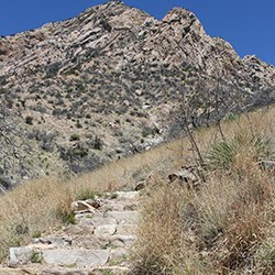 Stone stairs on a trail with a rocky mountain peak in the background