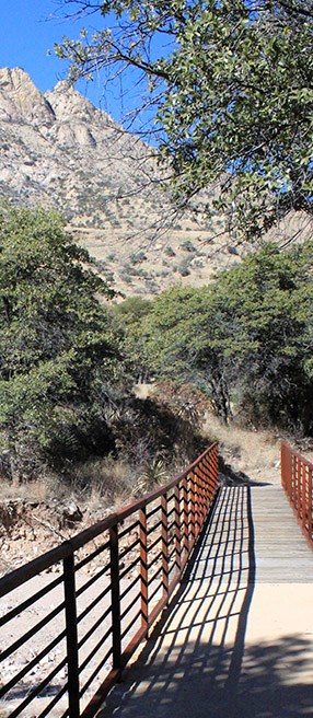Footbridge over dry creekbed
