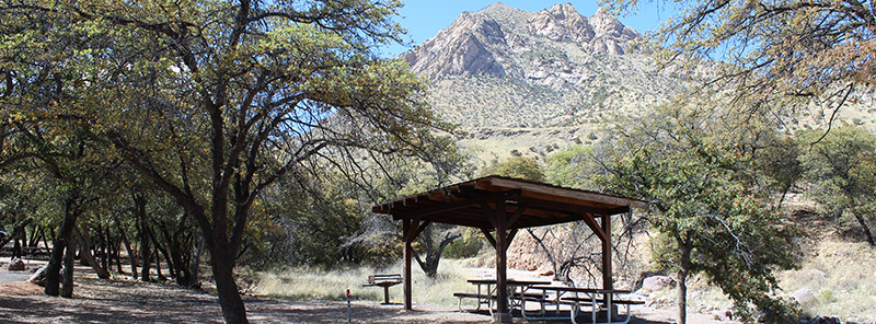A covered picnic table in oak forest