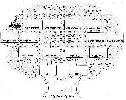 drawing of a family tree
