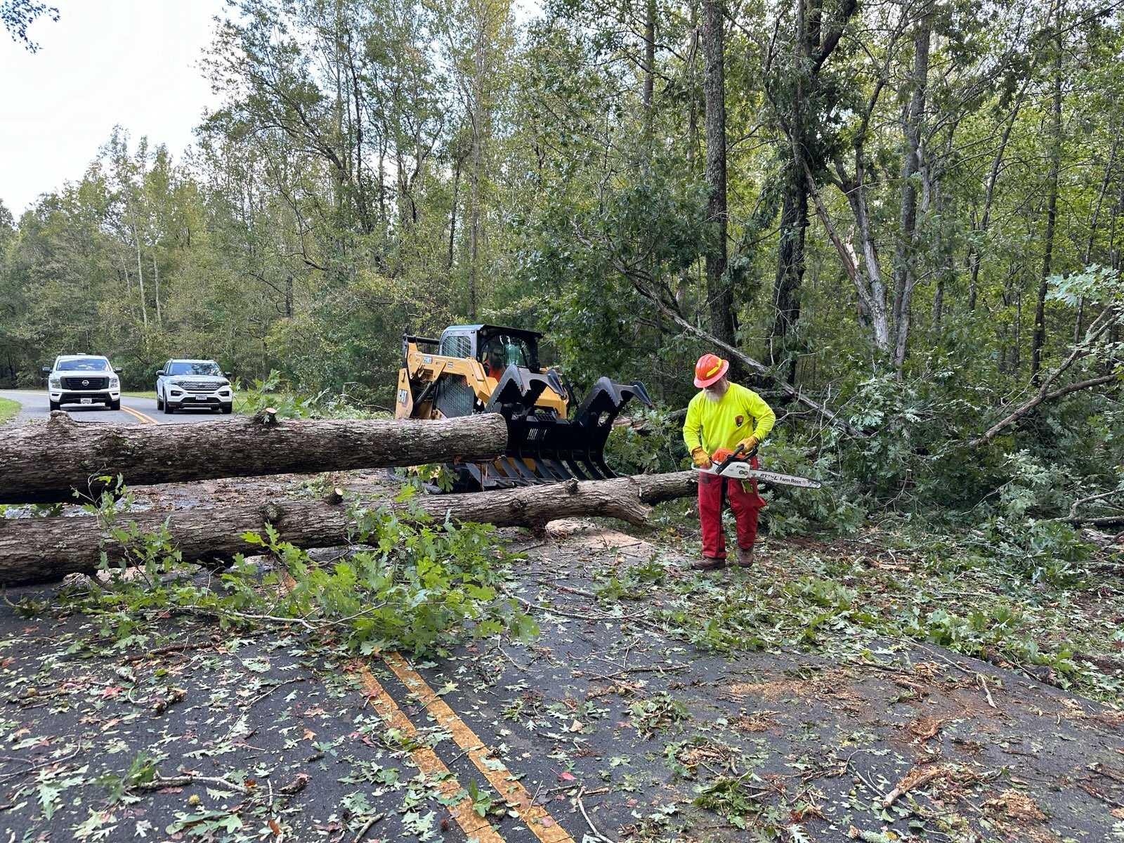 Crews remove downed trees