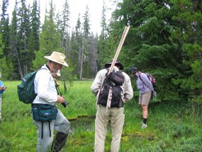 BioBlitz 2007 - Sphagnum Bog