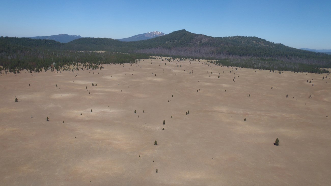 Aerial view of Pumice Desert