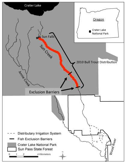 bull trout restoration results