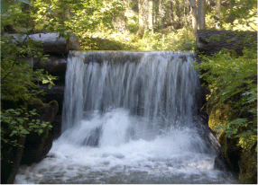 Fish barrier in Sun Creek.