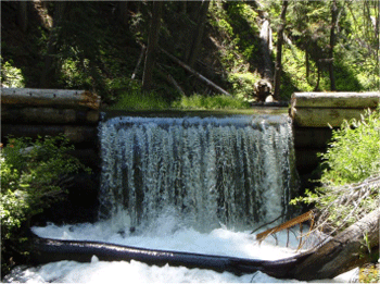 Fish passage barrier