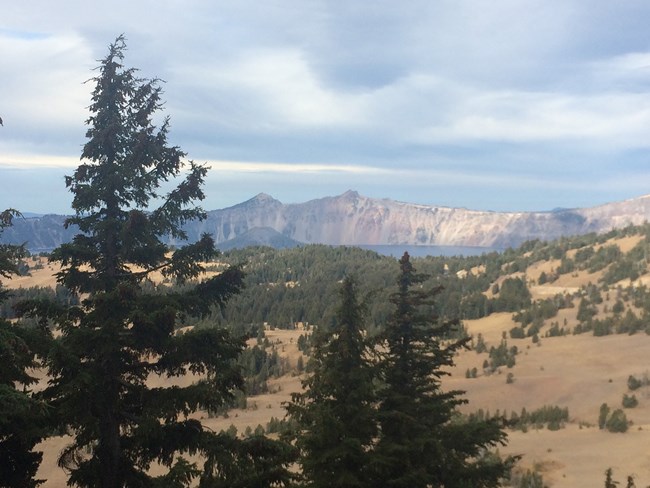 landscape of high elevation forest